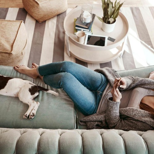 overhead view of  a woman texting as she lies on a couch with a dog at her feet